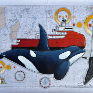 The blue orca and the crossing of the Indian Ocean