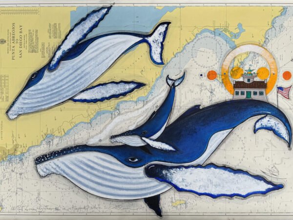 Humpback whales dance in front of the Point Loma Lighthouse - San Diego