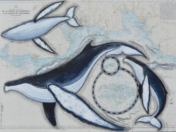 Les balises aux Glenan