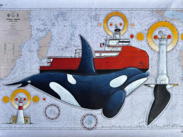 The blue orca and the crossing of the Indian Ocean