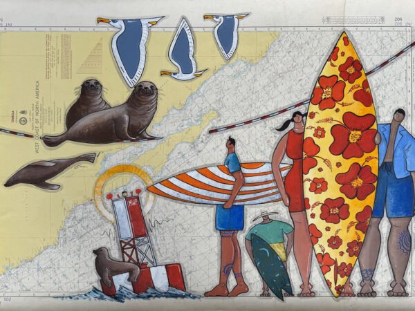 The meeting between California sea lions and surfers