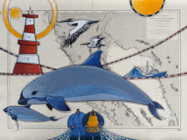 Vaquita the last Porpoise of the Gulf of California