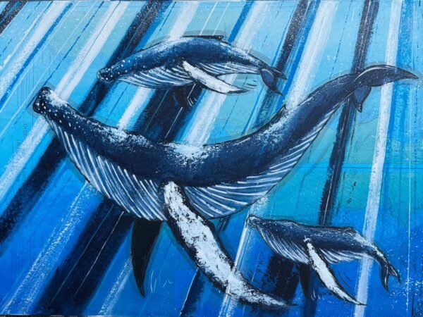 Les baleines à bosse