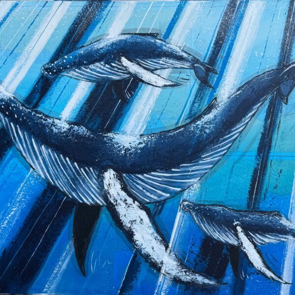 Les baleines à bosse