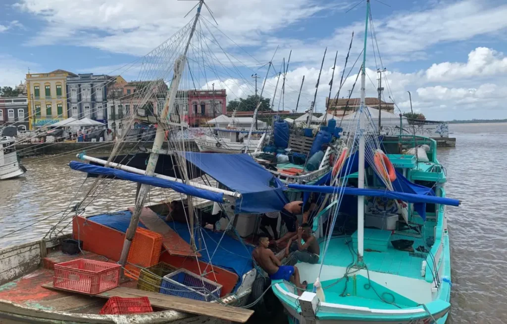 voyage ramine guyane
