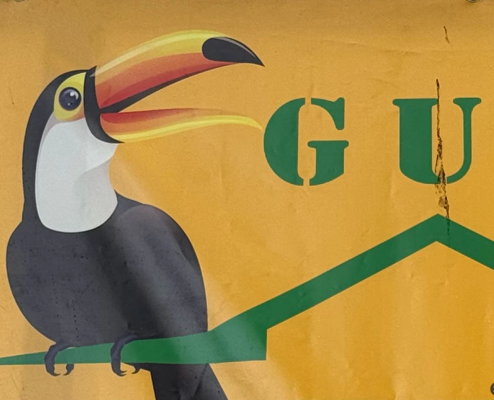 Voyage Guyane Ramine